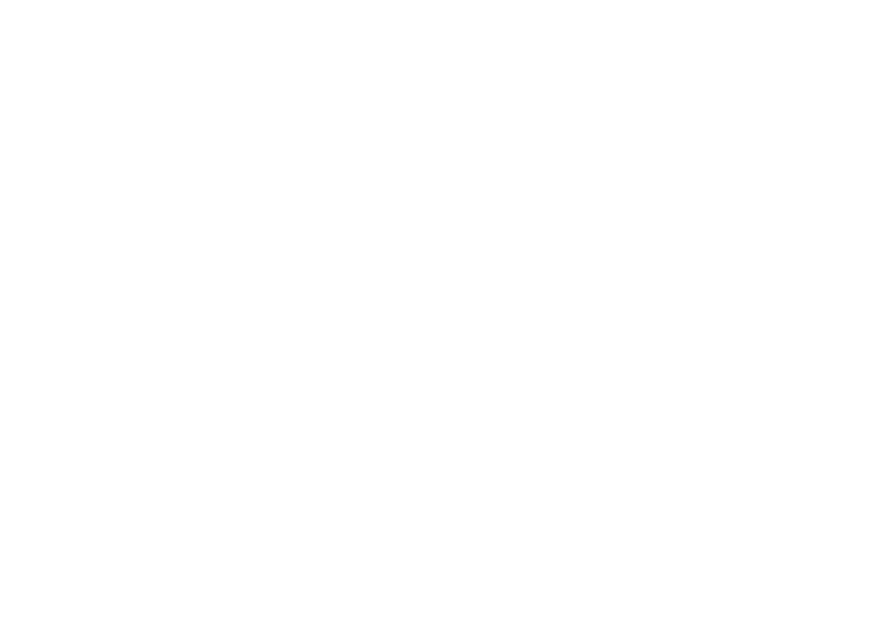 Logo_Hoizknecht_negativ